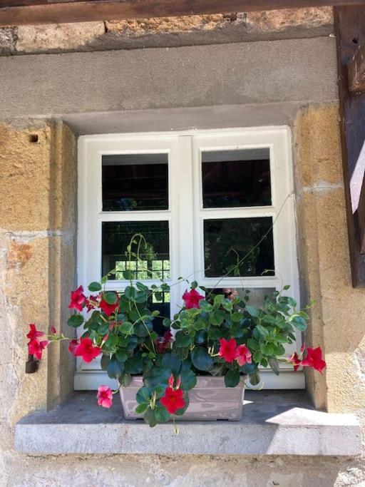 Vakantiehuis La Poire, Op Landgoed Aan De Dordogne Prudhomat Esterno foto